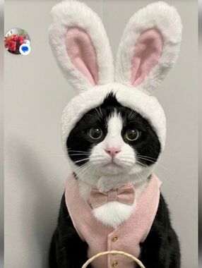 Share With Color Group Week Game🫶🌈🫶